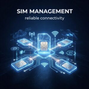 Managed APN SIM card for secure mobile data and private network access